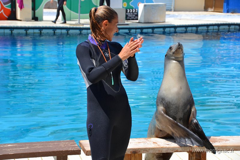 Marineland aout 2014 56.JPG - Marineland - Parc d'attractions aquatiques - Antibes - Août 2014